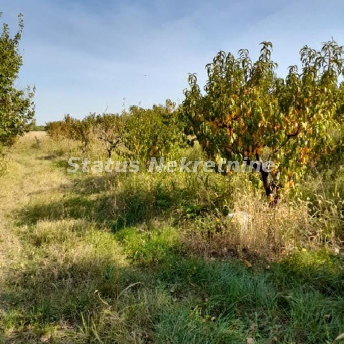 Plac Prodaja Sremski Karlovci  0 m2