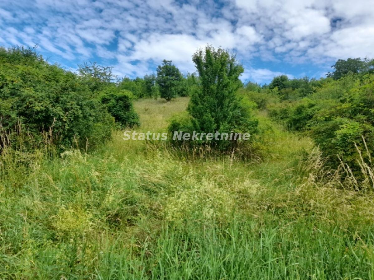 Plac Prodaja Inđija Plac Prodaja Inđija 0 m2