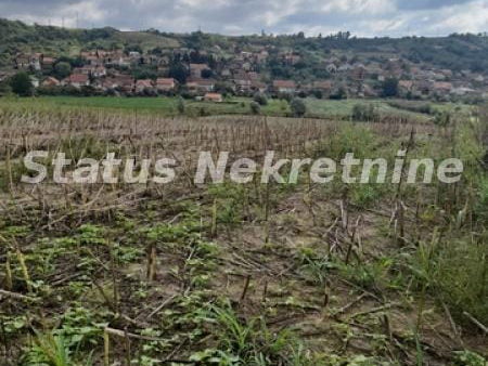 Plac Prodaja Novi Sad  0 m2