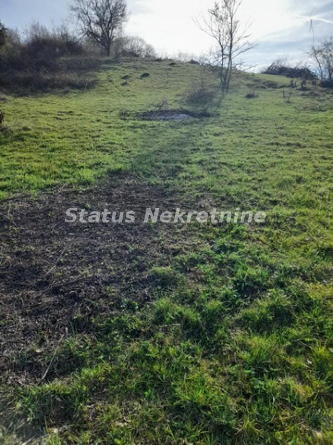 Plac Prodaja Novi Sad  0 m2