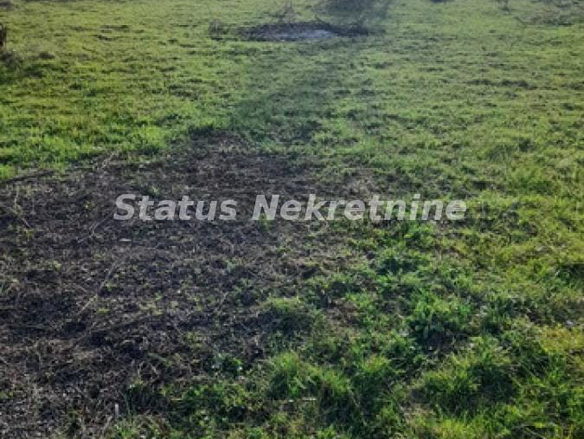 Plac Prodaja Novi Sad  0 m2