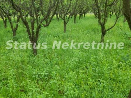 Plac Prodaja Vrdnik  0 m2