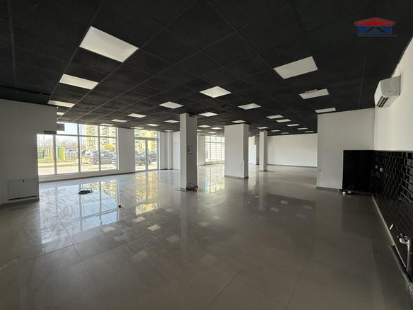 Lokal Izdavanje Novi Sad  310 m2