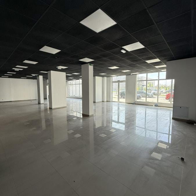 Lokal Izdavanje Novi Sad  310 m2