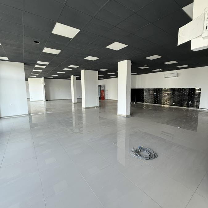 Lokal Izdavanje Novi Sad  310 m2