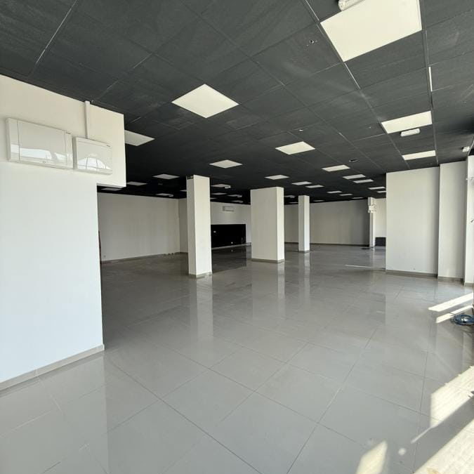 Lokal Izdavanje Novi Sad  310 m2