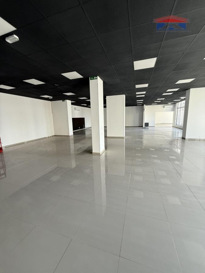 Lokal Izdavanje Novi Sad Lokal Izdavanje Novi Sad 310 m2