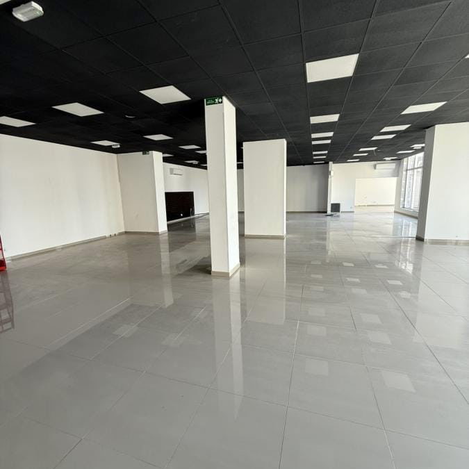 Lokal Izdavanje Novi Sad  310 m2