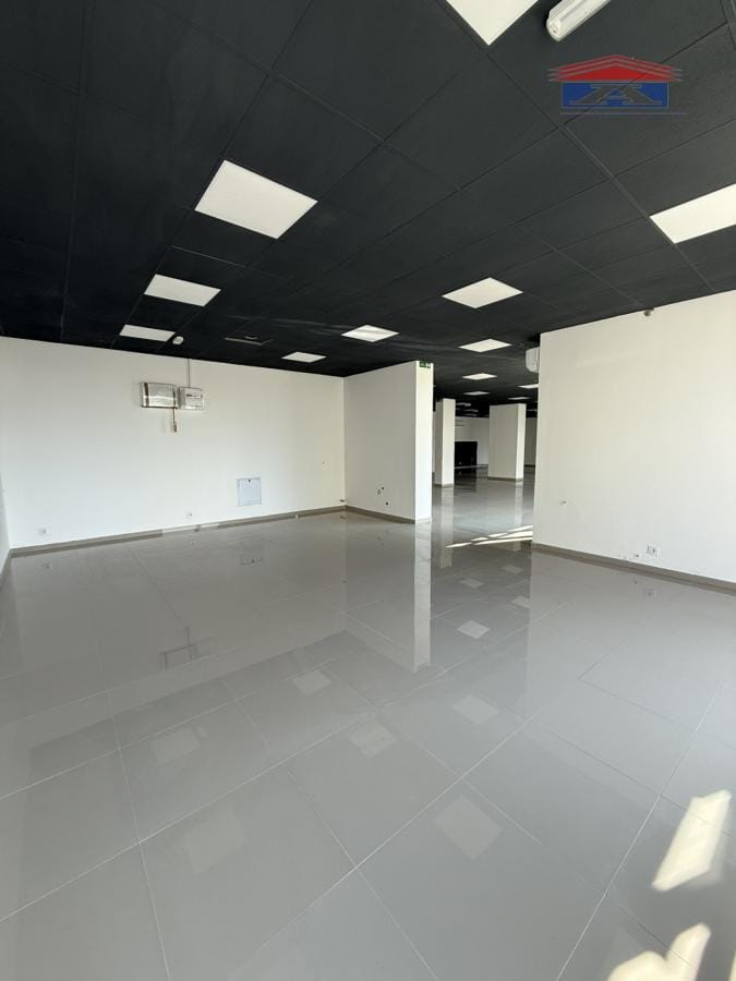 Lokal Izdavanje Novi Sad Lokal Izdavanje Novi Sad 310 m2