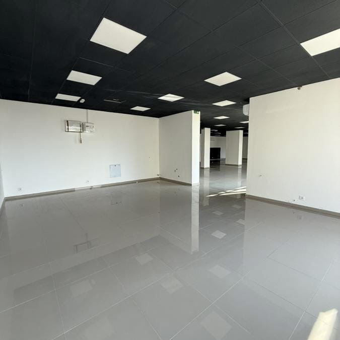 Lokal Izdavanje Novi Sad  310 m2