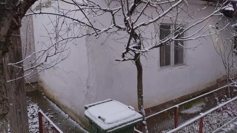 Kuća Prodaja Novi Sad  83 m2