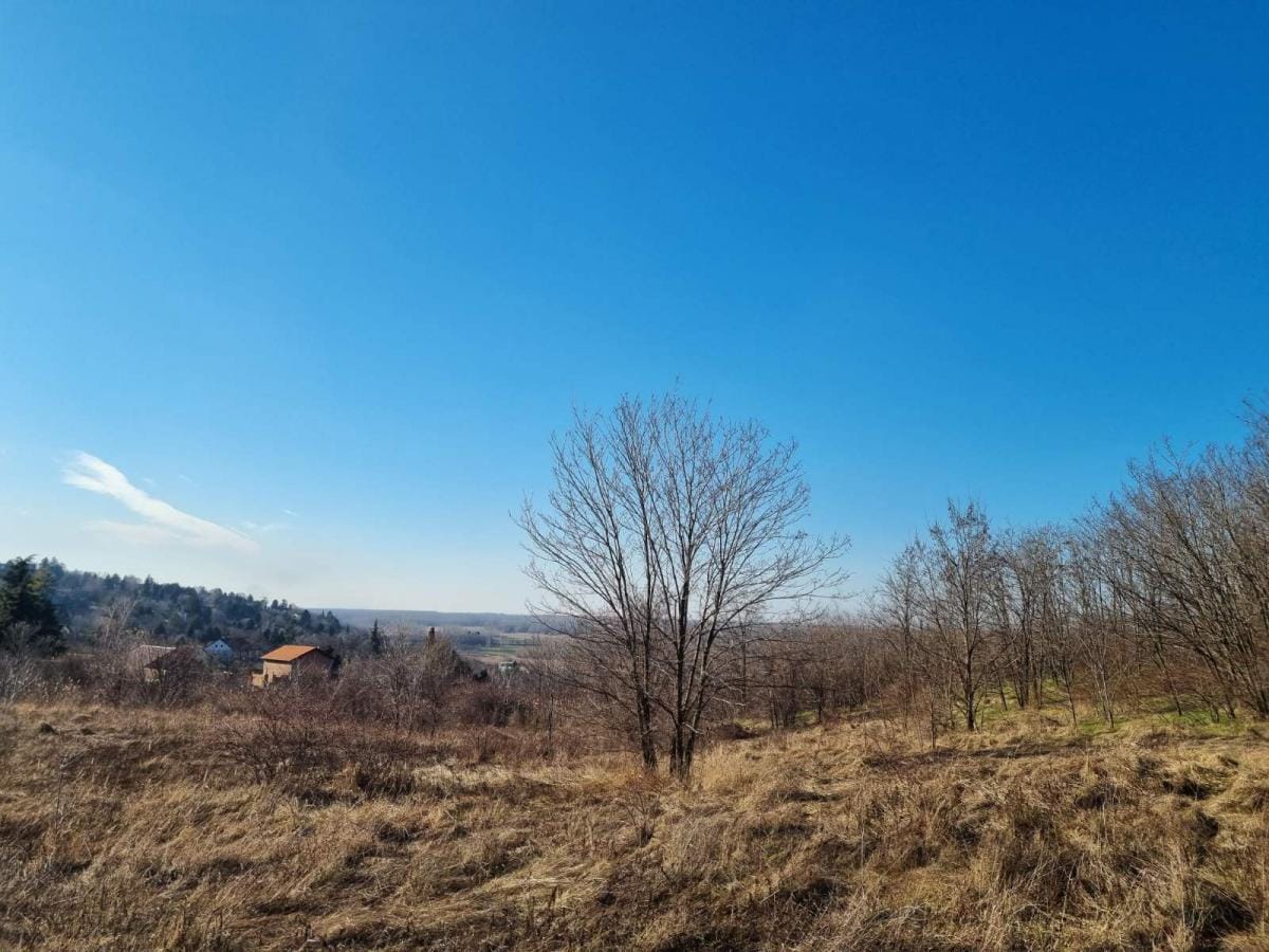 Plac Prodaja Novi Sad  0 m2