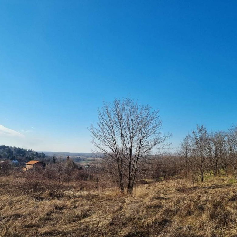 Plac Prodaja Novi Sad  0 m2