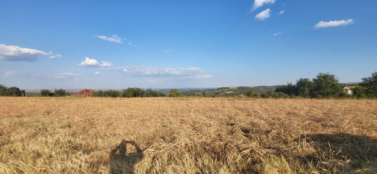 Plac Prodaja Novi Sad  0 m2
