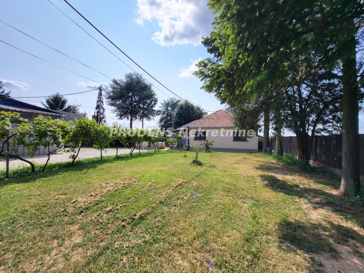 Kuća Prodaja Beograd Kuća Prodaja Beograd 1000 Ruža 400 m2