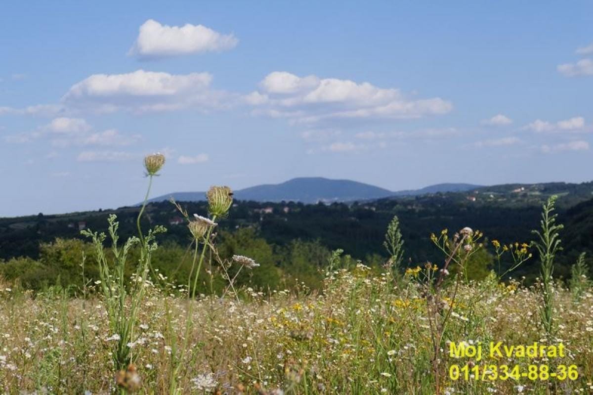 Plac Prodaja Beograd Beljina 0 m2