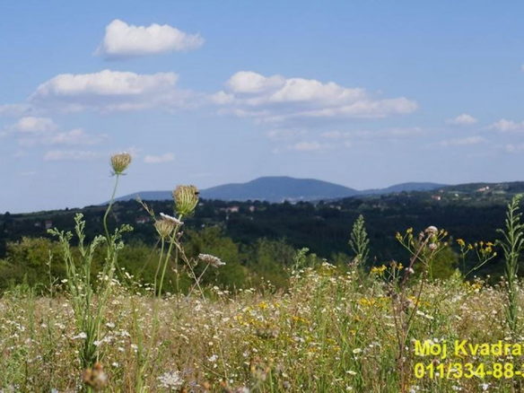 Plac Prodaja Beograd Beljina 0 m2
