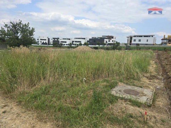 Plac Prodaja Novi Sad  0 m2