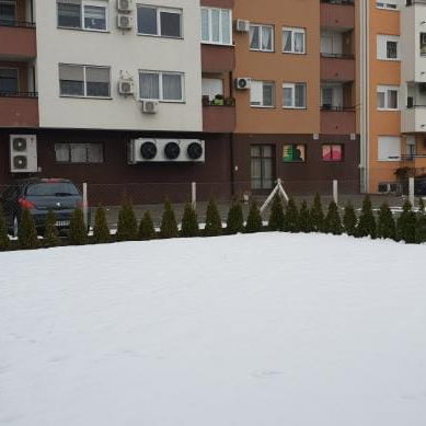Kuća Prodaja Novi Sad  280 m2