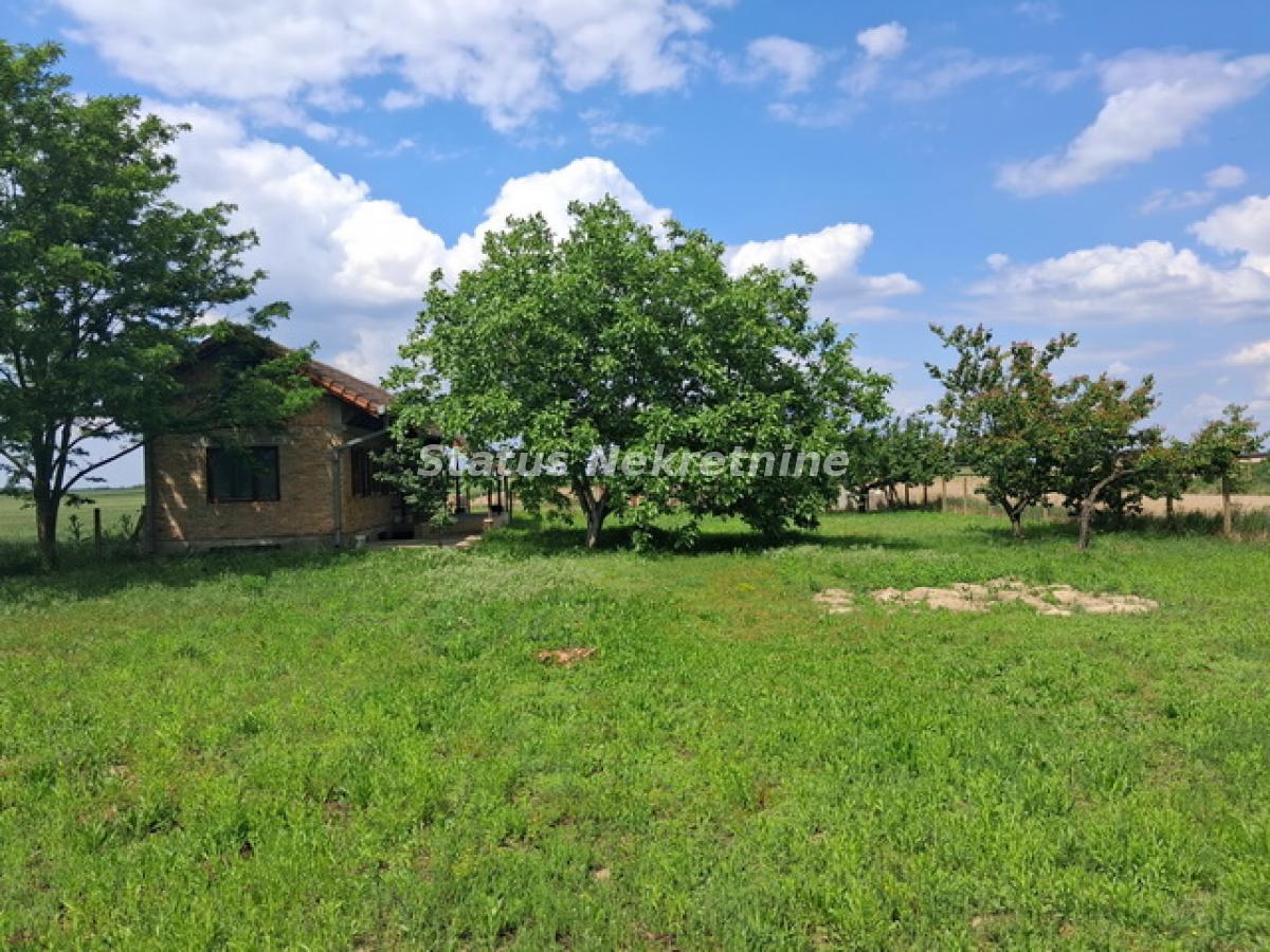Kuća Prodaja Novi Sad Kuća Prodaja Novi Sad 118 m2