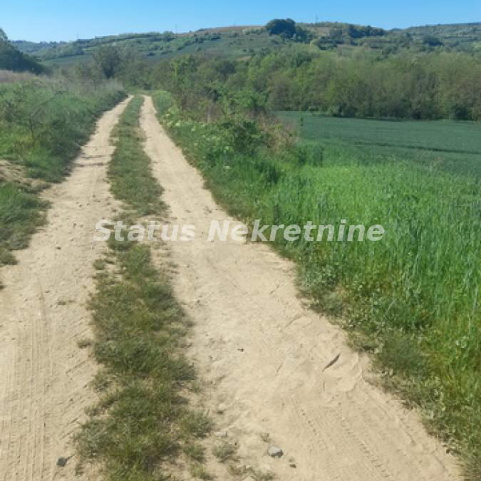 Plac Prodaja Sremski Karlovci  0 m2