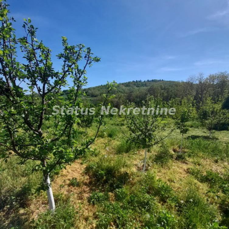 Plac Prodaja Sremski Karlovci  0 m2