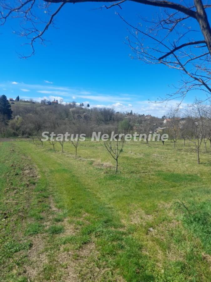 Plac Prodaja Beočin Plac Prodaja Beočin 0 m2