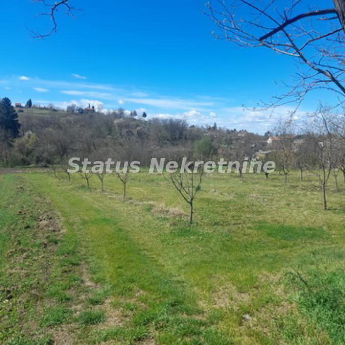 Plac Prodaja Beočin  0 m2
