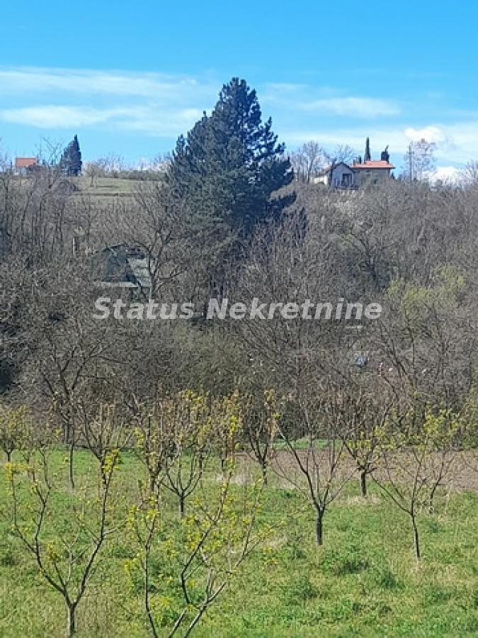 Plac Prodaja Beočin Plac Prodaja Beočin 0 m2
