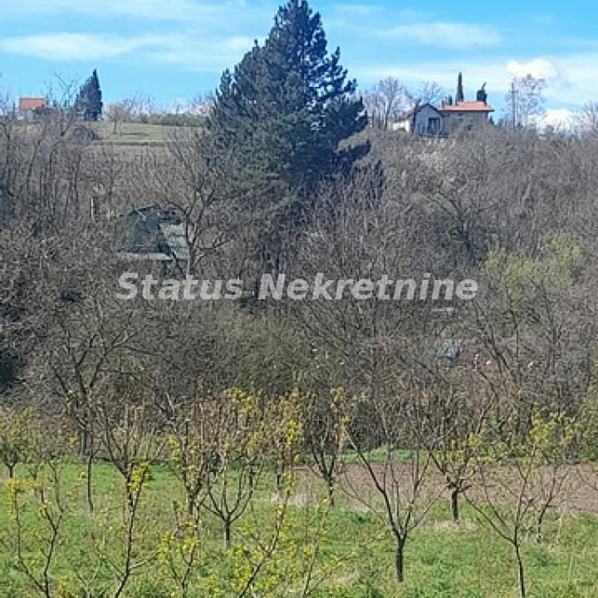 Plac Prodaja Beočin  0 m2