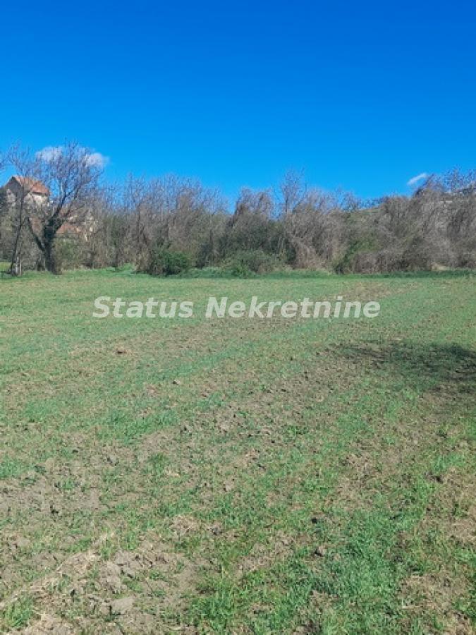 Plac Prodaja Beočin Plac Prodaja Beočin 0 m2