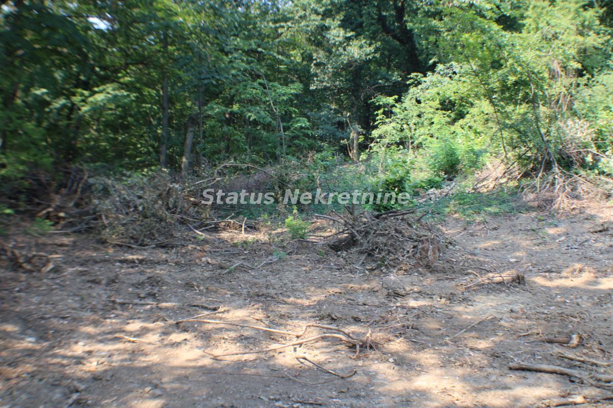 Plac Prodaja Beočin Plac Prodaja Beočin 0 m2