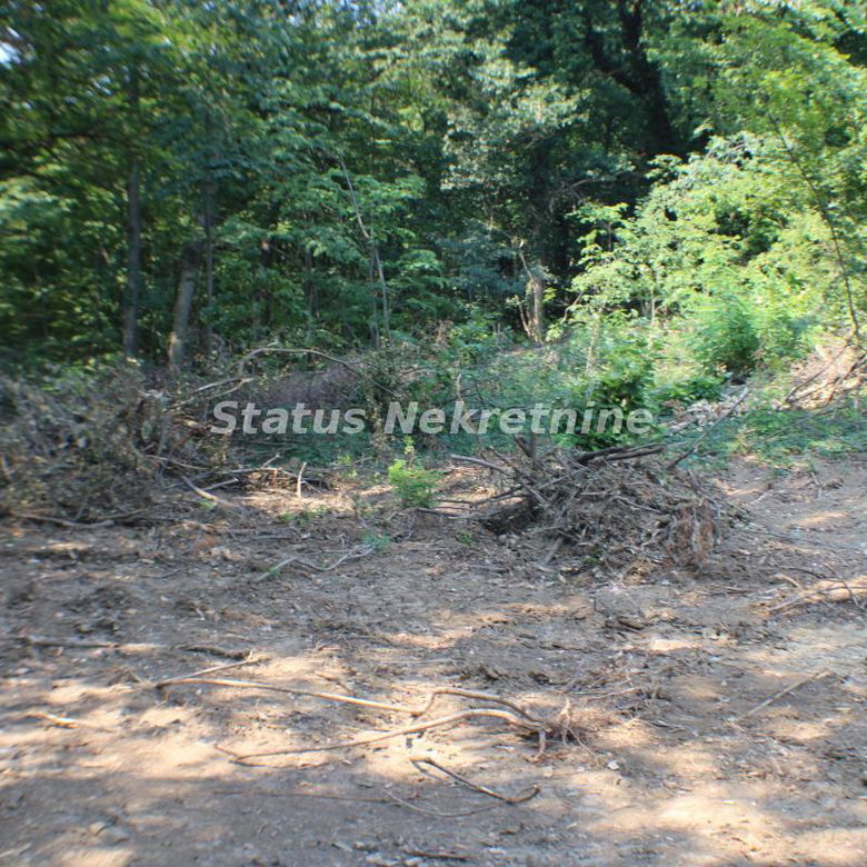 Plac Prodaja Beočin  0 m2