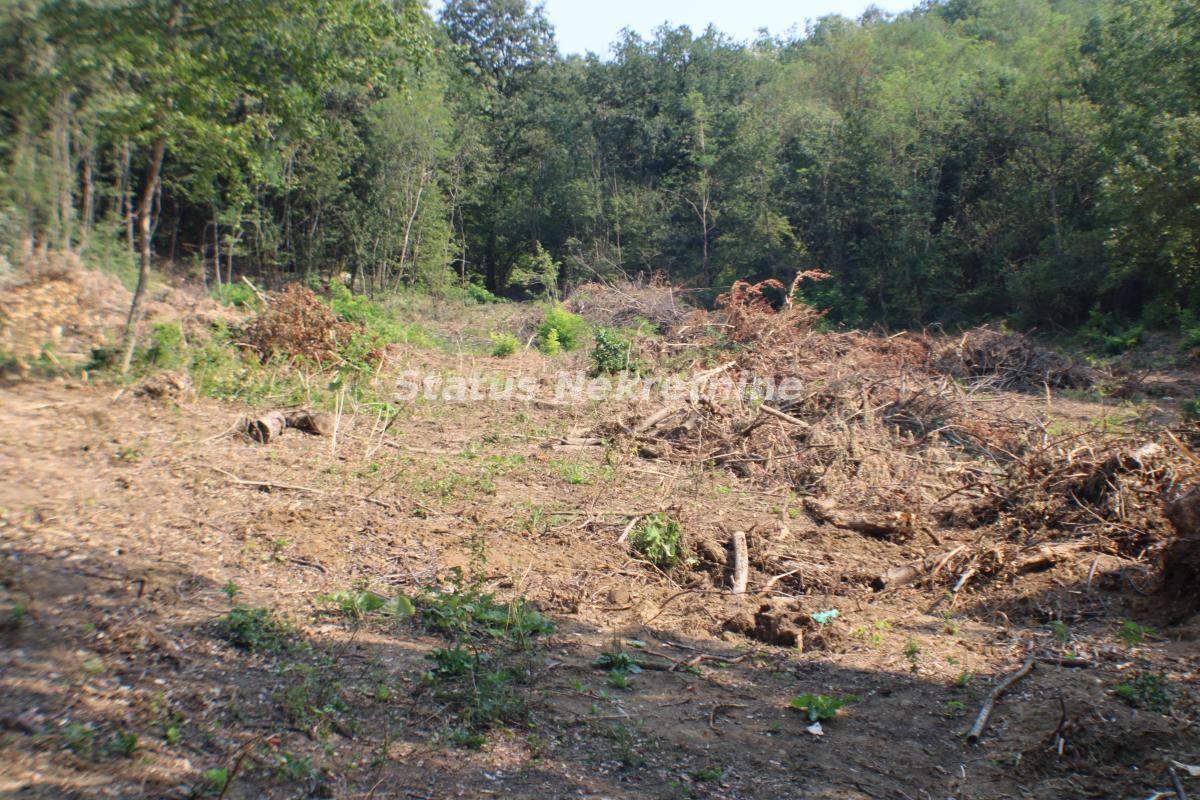 Plac Prodaja Beočin Plac Prodaja Beočin 0 m2