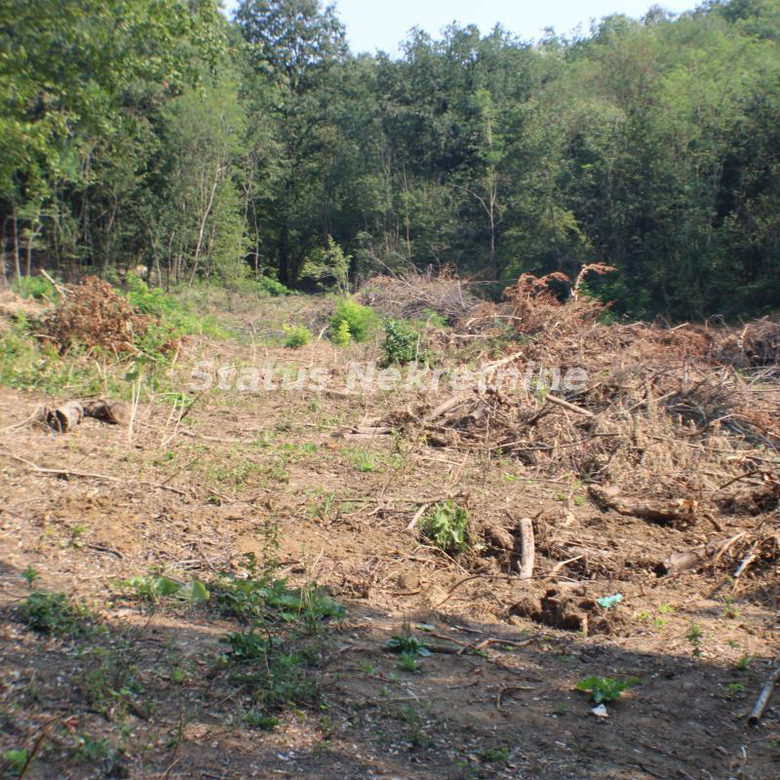 Plac Prodaja Beočin  0 m2