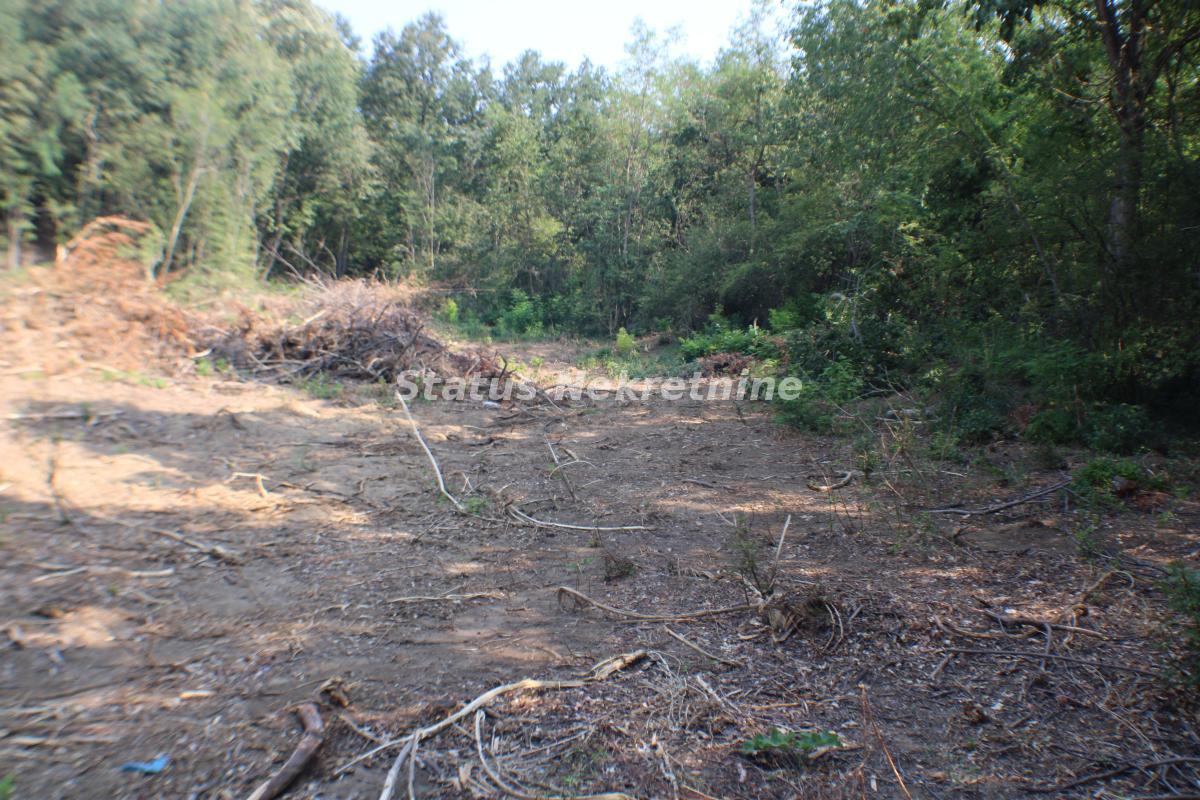 Plac Prodaja Beočin Plac Prodaja Beočin 0 m2