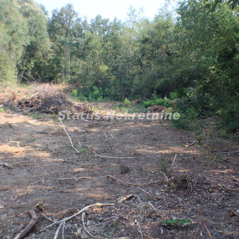 Plac Prodaja Beočin  0 m2