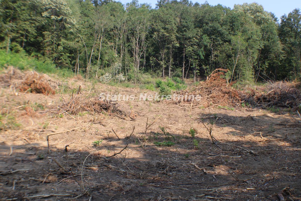 Plac Prodaja Beočin Plac Prodaja Beočin 0 m2