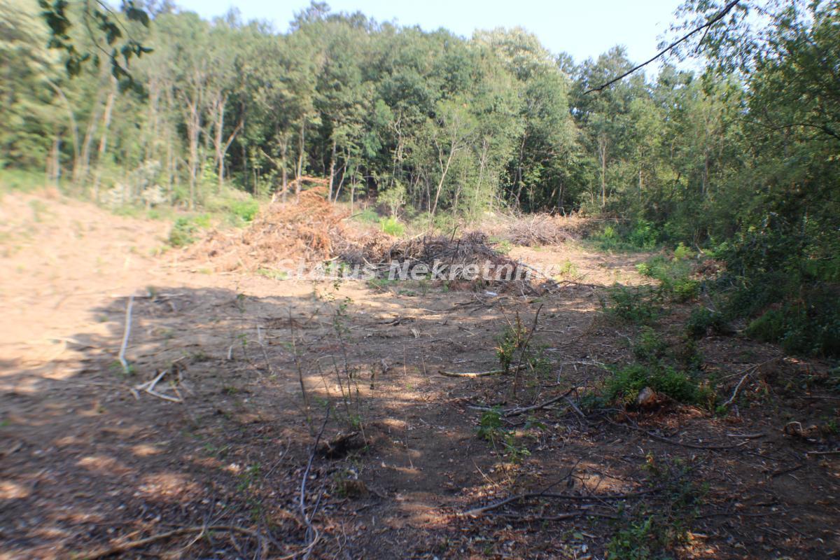 Plac Prodaja Beočin Plac Prodaja Beočin 0 m2