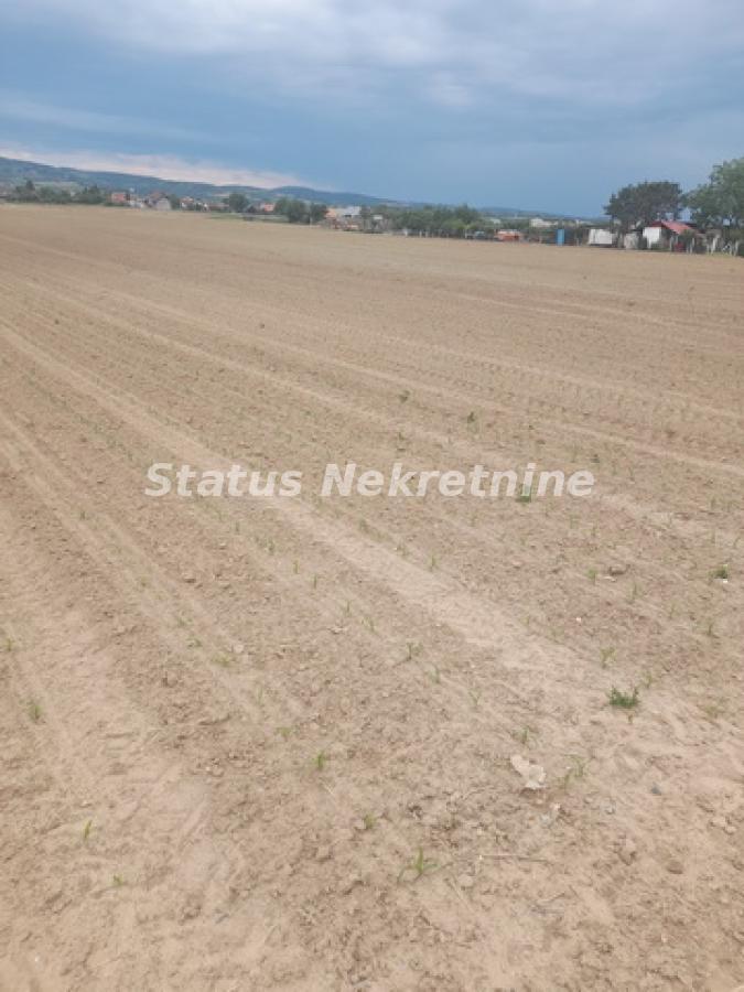 Plac Prodaja Novi Sad Plac Prodaja Novi Sad 0 m2