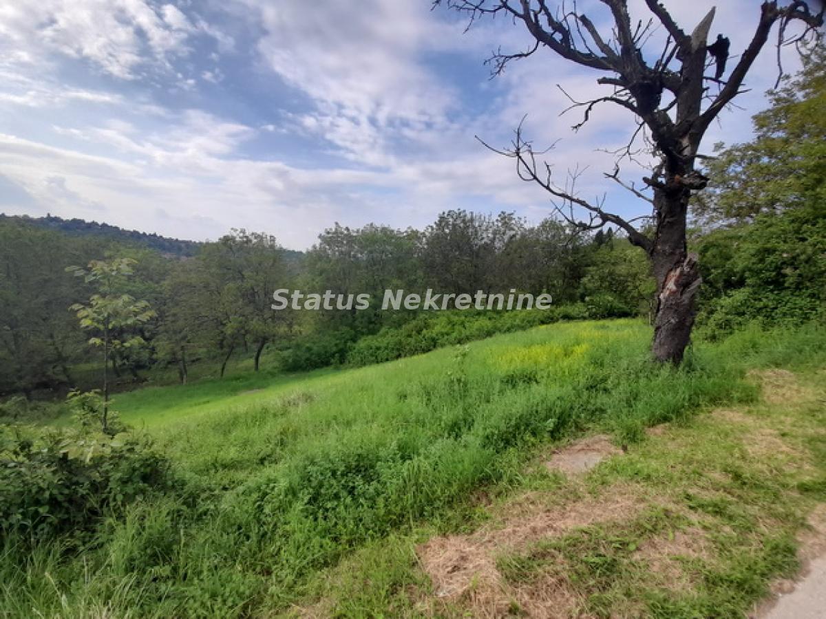 Plac Prodaja Novi Sad  0 m2
