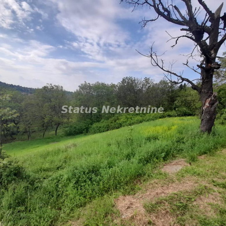 Plac Prodaja Novi Sad  0 m2