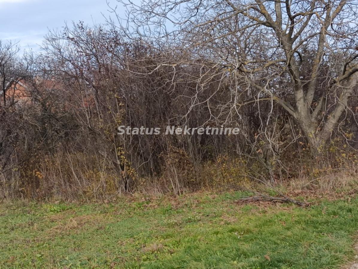 Plac Prodaja Sremski Karlovci  0 m2