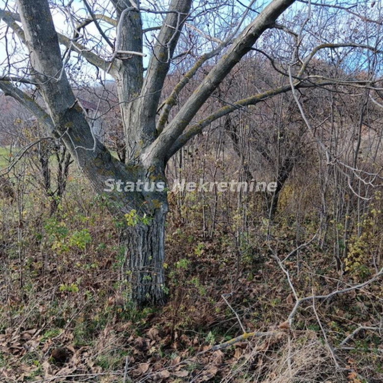 Plac Prodaja Sremski Karlovci  0 m2