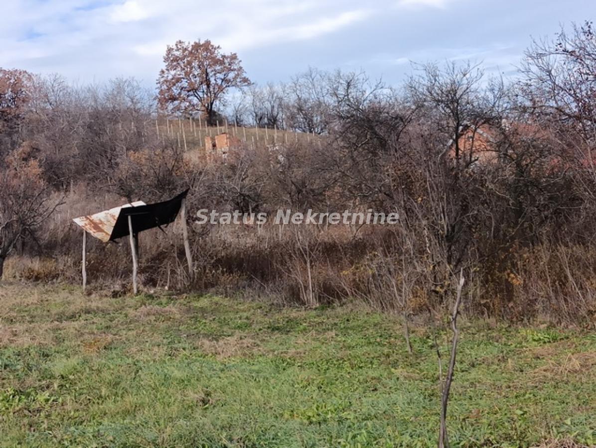 Plac Prodaja Sremski Karlovci  0 m2