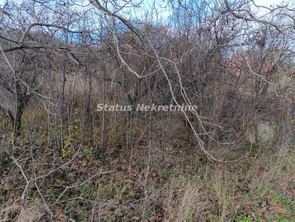Plac Prodaja Sremski Karlovci  0 m2