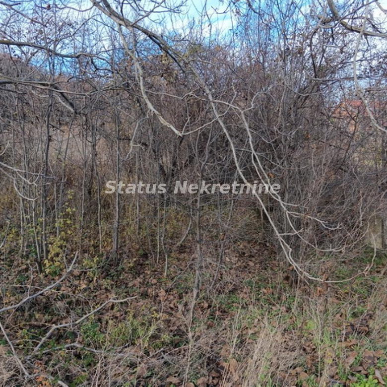 Plac Prodaja Sremski Karlovci  0 m2