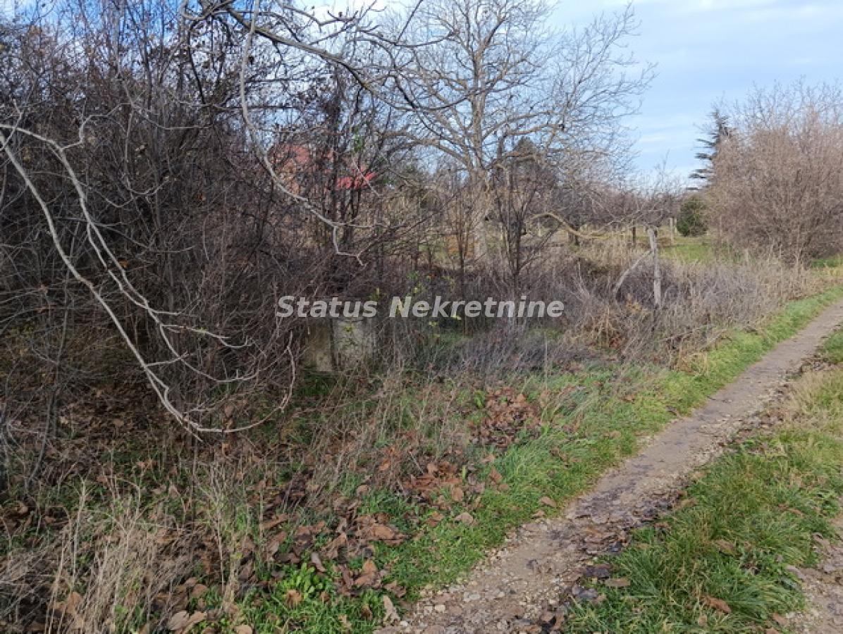 Plac Prodaja Sremski Karlovci  0 m2