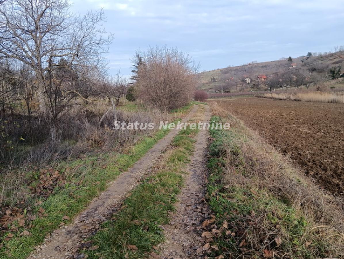 Plac Prodaja Sremski Karlovci  0 m2