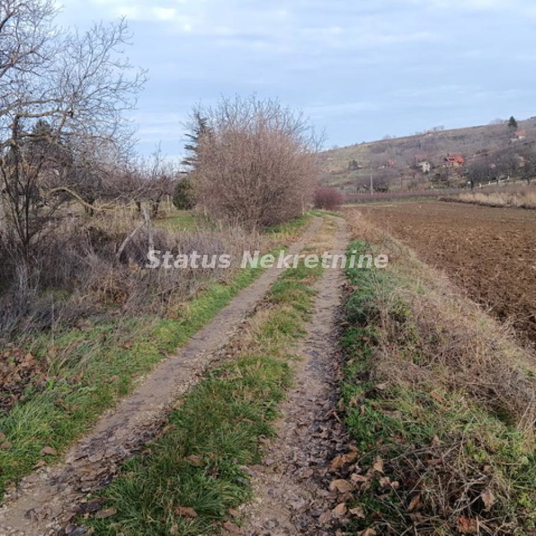 Plac Prodaja Sremski Karlovci  0 m2